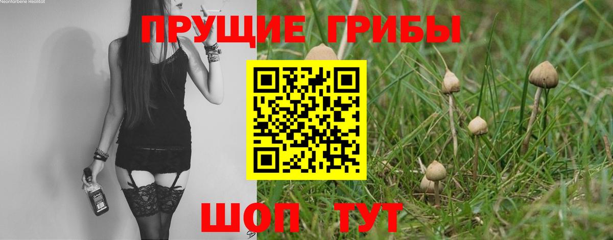 Галлюциногенные грибы Psilocybe  Вход с VPN  Сургут 